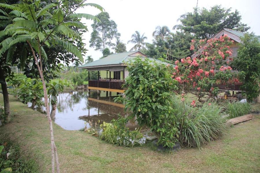 Ambow Homestay Jungle Trekking & Village Tour Bukit Lawang Exterior foto