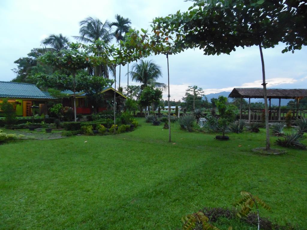 Ambow Homestay Jungle Trekking & Village Tour Bukit Lawang Exterior foto